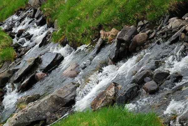 Close-up of a stream in green grass. — Stock Photo, Image