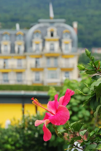 Veduta di Montreux . — Foto Stock