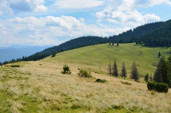 Polonina in the Carpathian Mountains. — Stock Photo, Image