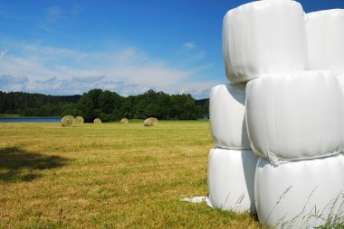 Gathered field with straw bales packaged clipart