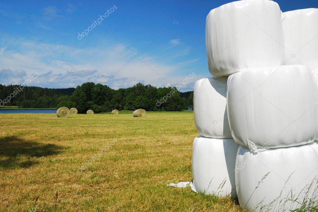 Gathered field with straw bales packaged