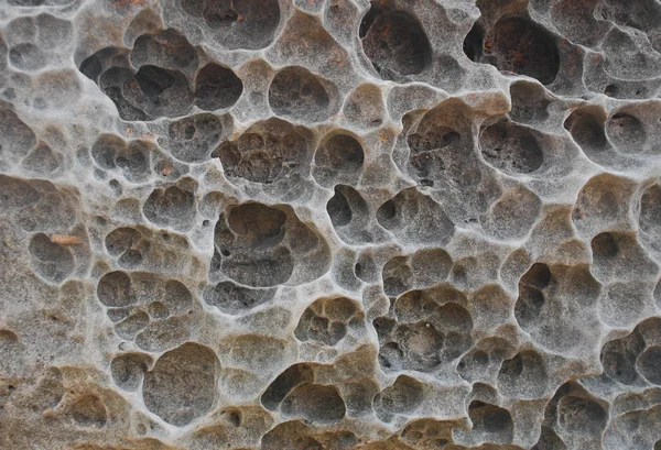珊瑚沙石化的特写. — 图库照片