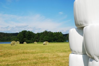 Harvested field with straw bales packaged clipart