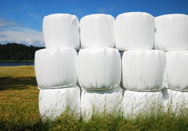 Сельскохозяйственная пачка с упакованными соломенными тюками — стоковое фото