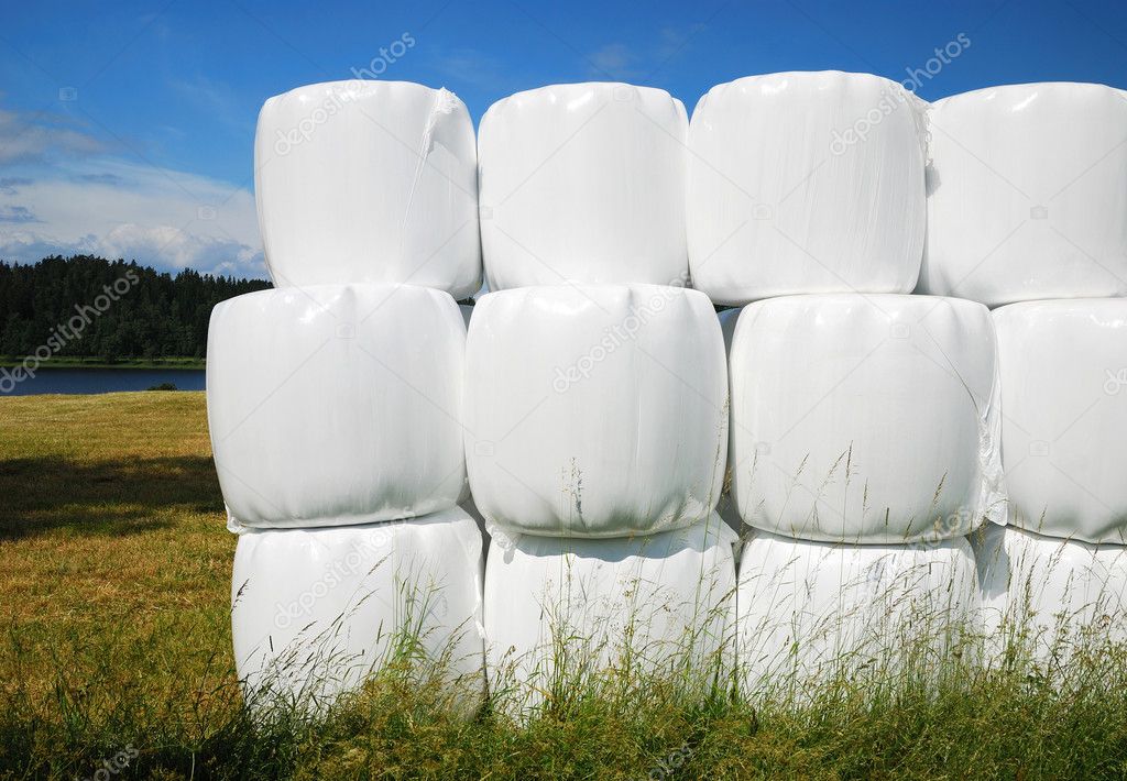 Agricultural stack with straw bales packaged