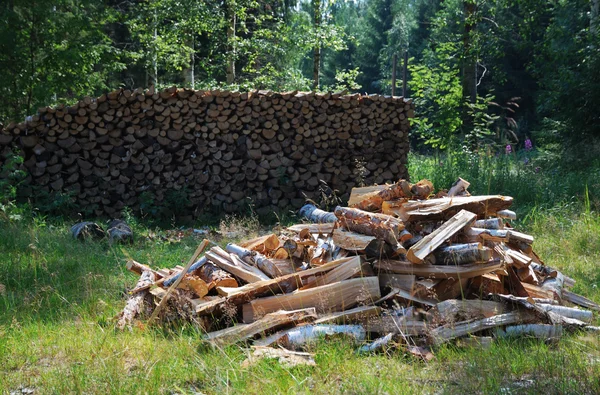 Green yard with woodstack. — Stock Photo, Image
