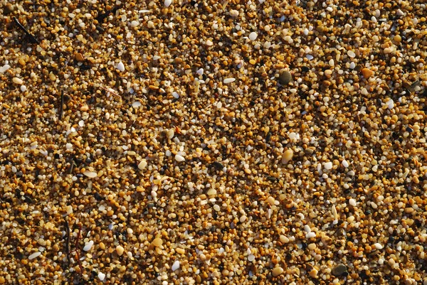 Close-up of silica wet beach. — Stock Photo, Image