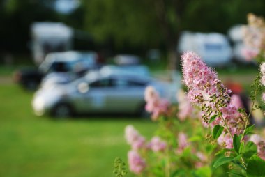 Auto camp on the green camping site clipart