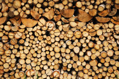 Firewood. clipart