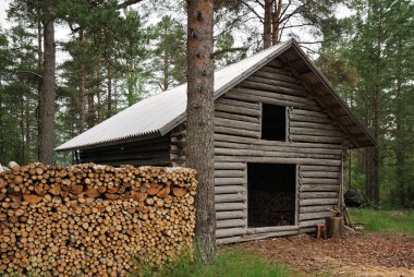 Log shed with firewood in forest. clipart