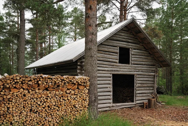 Log shed with firewood in forest. — Stock Photo, Image