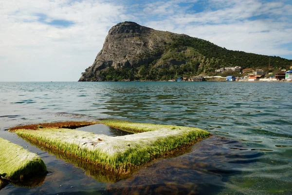 Baía verde de Noviy Svet na costa da Crimeia . — Fotografia de Stock