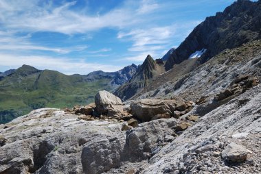 Yaz pyrenees.