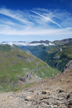 Yaz pyrenees.