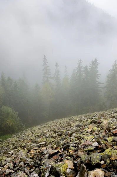 안개를 통해 숲이 우거진된 산에 돌 슬로프. — 스톡 사진