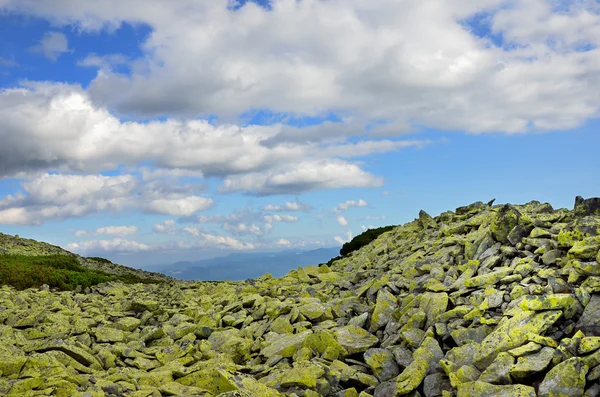 カルパティア山脈でコケに覆われた氷堆石. — ストック写真