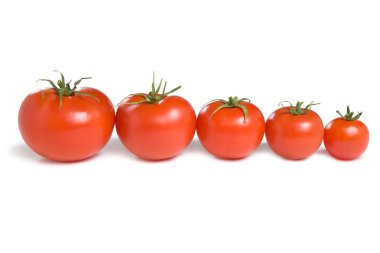 Five tomatoes-1 clipart