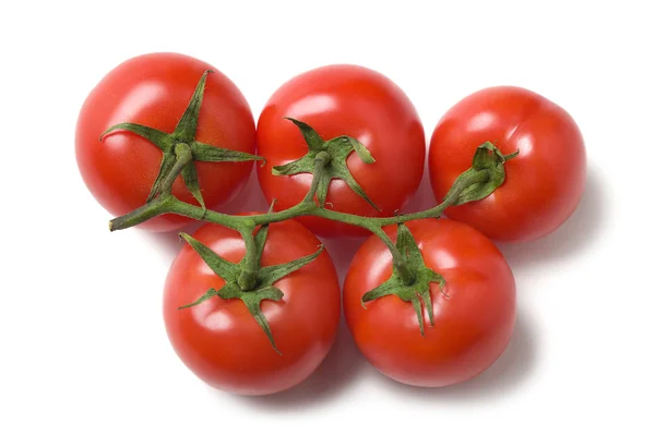 Tomates em um ramo-29 — Fotografia de Stock
