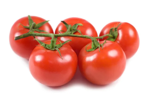 Tomates em um ramo-28 — Fotografia de Stock