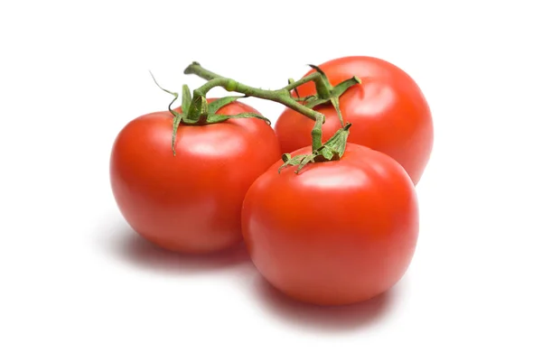 Los tomates al manojo-23 —  Fotos de Stock