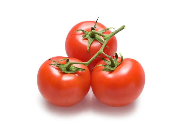 Pomidory na kilka-22 — Zdjęcie stockowe