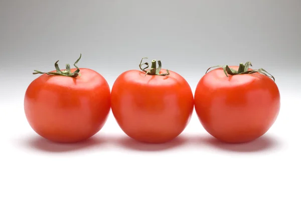 Tři rajčata-3 — Stock fotografie