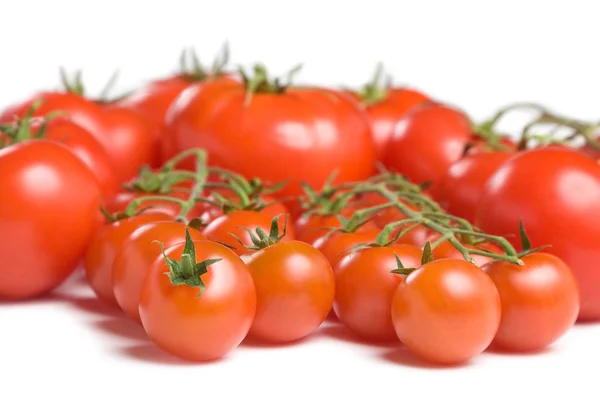 Tomatoes-2 — Stock fotografie