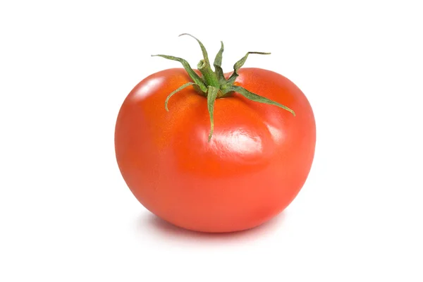 stock image Tomato-1