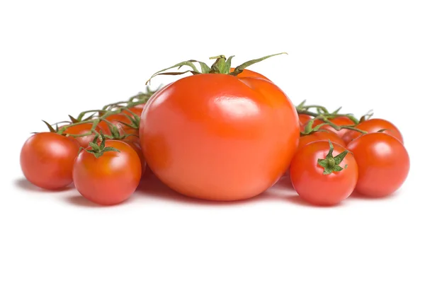 Tomatoes-1 — Stock fotografie