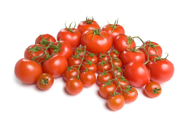 Tomaten-3 — Stockfoto