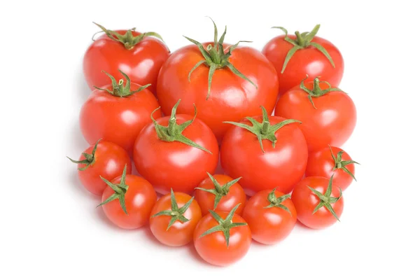 Группа помидоров-22 — стоковое фото
