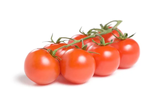 Grupo de tomate — Fotografia de Stock