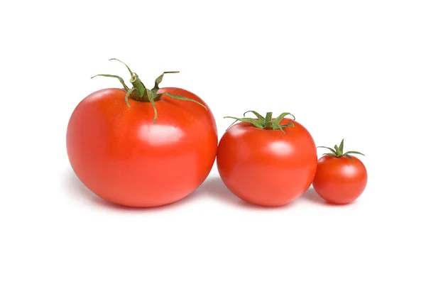 Três tomates-2 — Fotografia de Stock