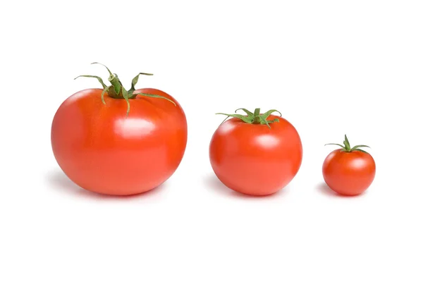 Trzy pomidory-1 — Zdjęcie stockowe