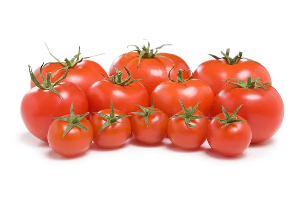 Skupina rajčata-24 — Stock fotografie