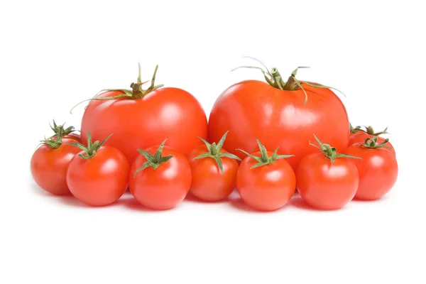 Grupa pomidory-21 — Zdjęcie stockowe