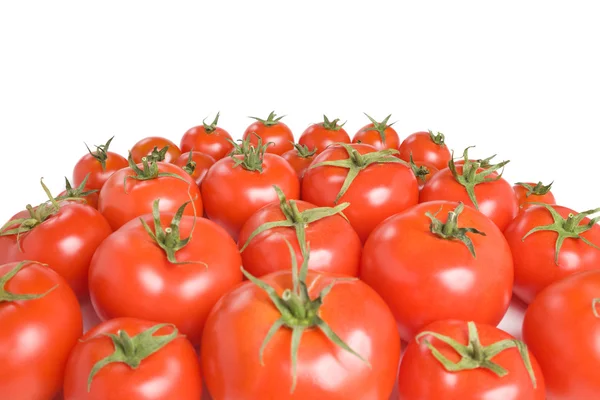 Grupo de tomates-26 — Foto de Stock