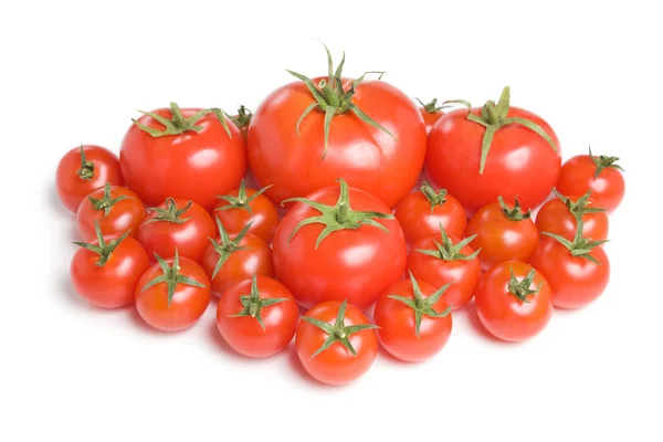 Groep van tomaten-20 — Stockfoto