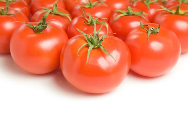 トマト 18 のグループ — ストック写真