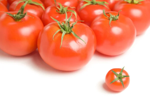 Grupa pomidory-17 — Zdjęcie stockowe
