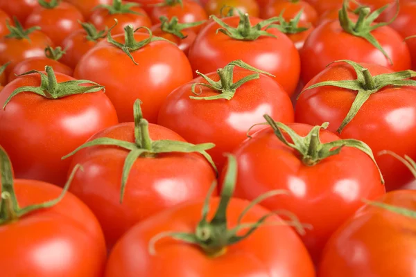 Pomidor tło-2 — Zdjęcie stockowe