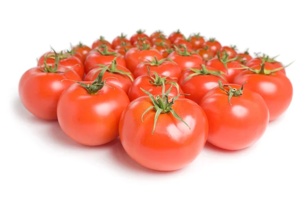 Skupina rajčat-14 — Stock fotografie