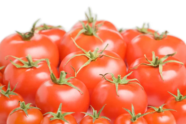 Skupina rajčata-25 — Stock fotografie