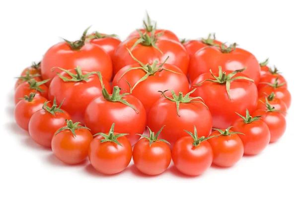 Grupo de tomates-11 — Foto de Stock