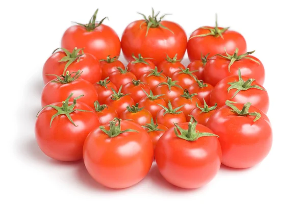 Grupo de tomates-12 — Fotografia de Stock