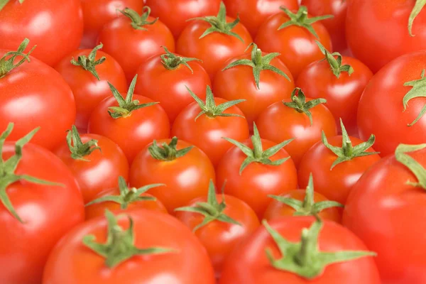 Tomato background-1 — Stock Photo, Image