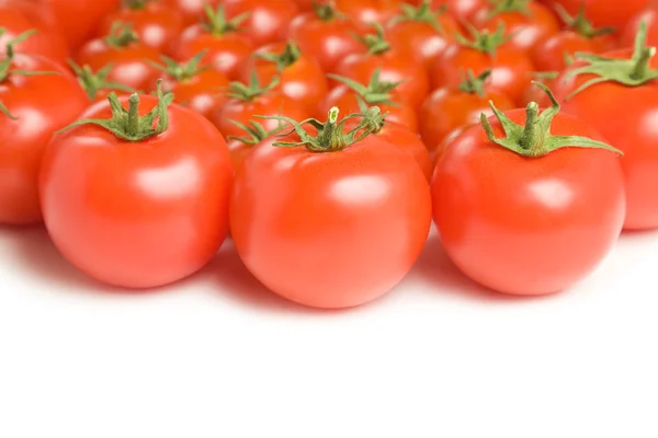 Grupa pomidory-16 — Zdjęcie stockowe
