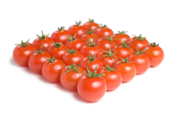 Grupo de tomates-8 — Foto de Stock