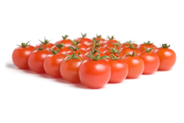 Gruppo di pomodori-10 — Foto Stock