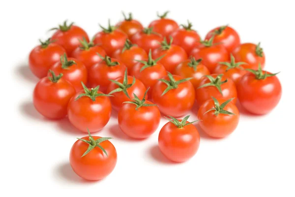 Skupina rajčata-5 — Stock fotografie
